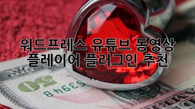 워드프레스 유튜브 동영상 플레이어 플러그인 추천