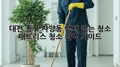대전 동구 자양동 냄새 없는 청소: 매트리스 청소 완벽 가이드